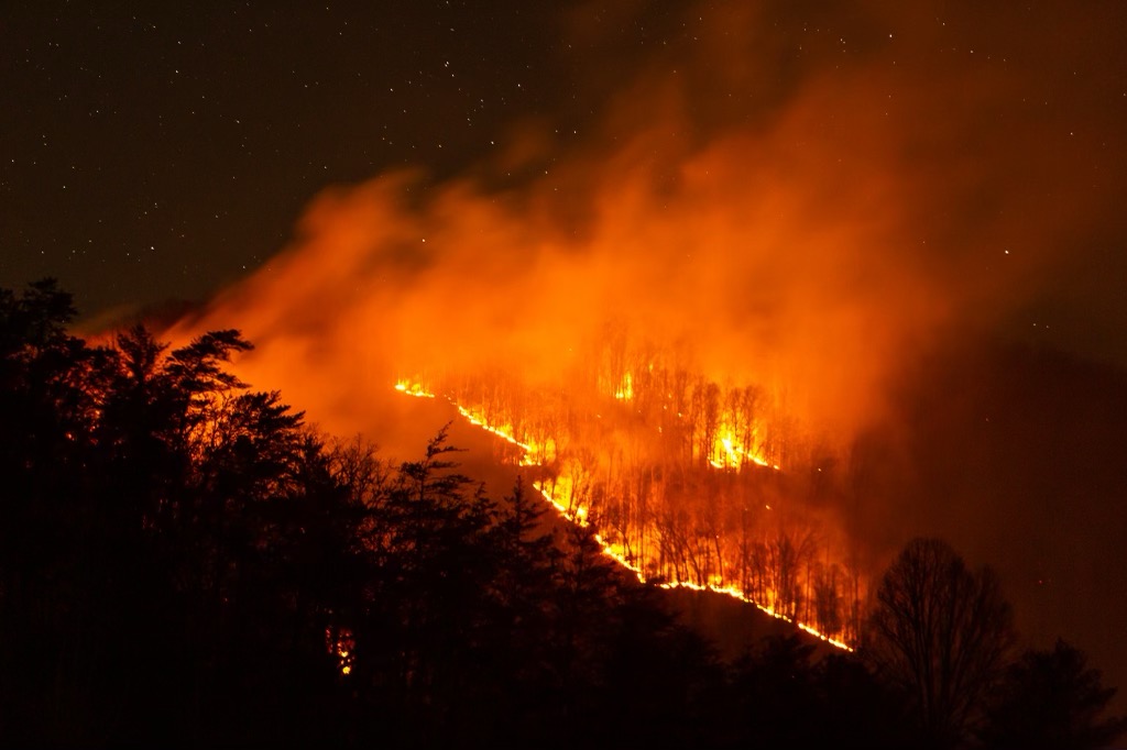 Responders worked overnight to monitor the Thomas Divide Complex Fire that was impacting property in the eastern part of the county as well as in the Great Smoky Mountains National Park. Pictured, the stars are out and two fire lines spread up the mountain. 